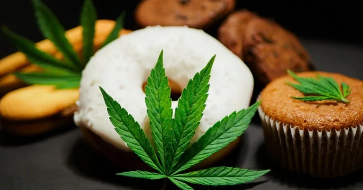 How Do Cannabis-Infused Edibles Differ from Traditional Baked Goods?