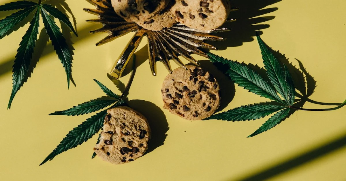 Hemp-Derived Edibles